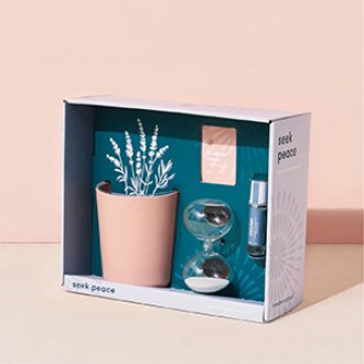 Modern Sprout  Mindful Meditation Lavender Kit