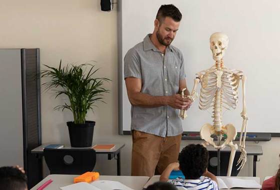 Best Human Skeleton Models