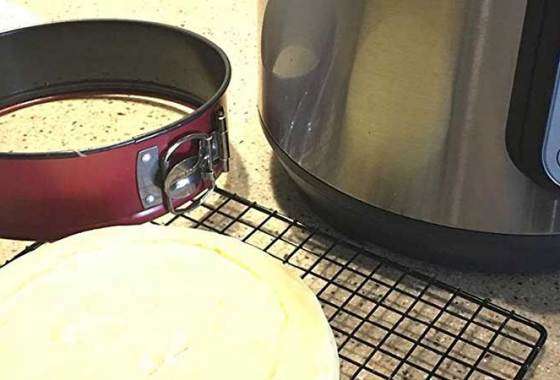 Best Instant Pot Springform Pans