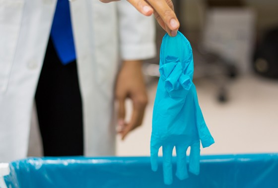 Best Disposable Gloves