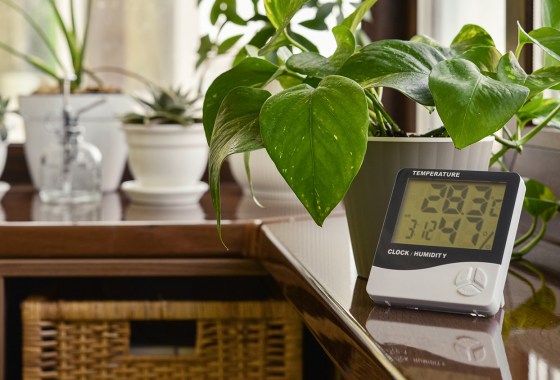 Best Hygrometers
