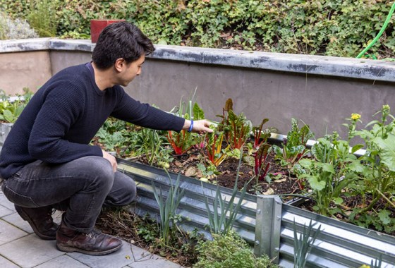Best inexpensive raised garden bed ideas
