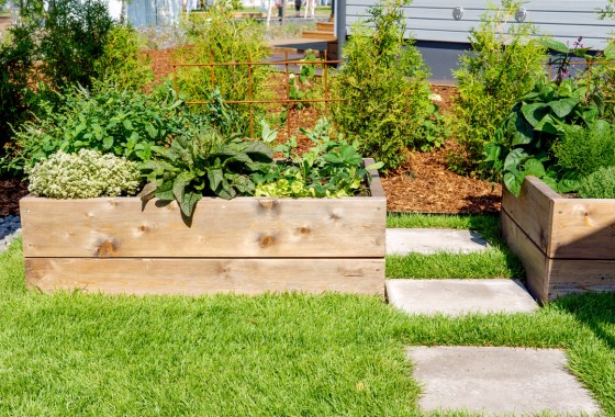 Best planter boxes for your patio