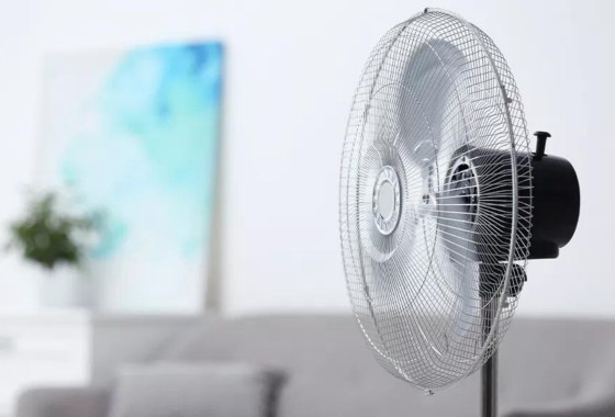 Which standing fan is best for cooling your home?