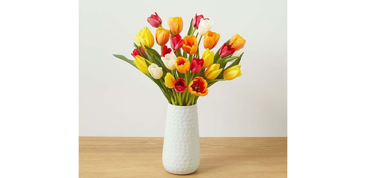 Bouqs All the Rage Rainbow Tulips