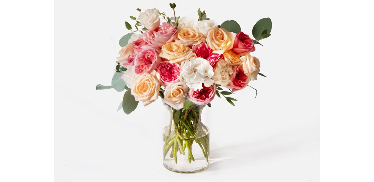 Urban Stems Double the English Rose