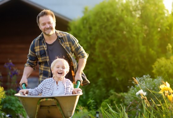 Best garden cart with seat