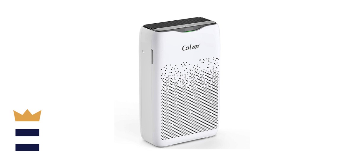 Colzer Standalone Air Purifier