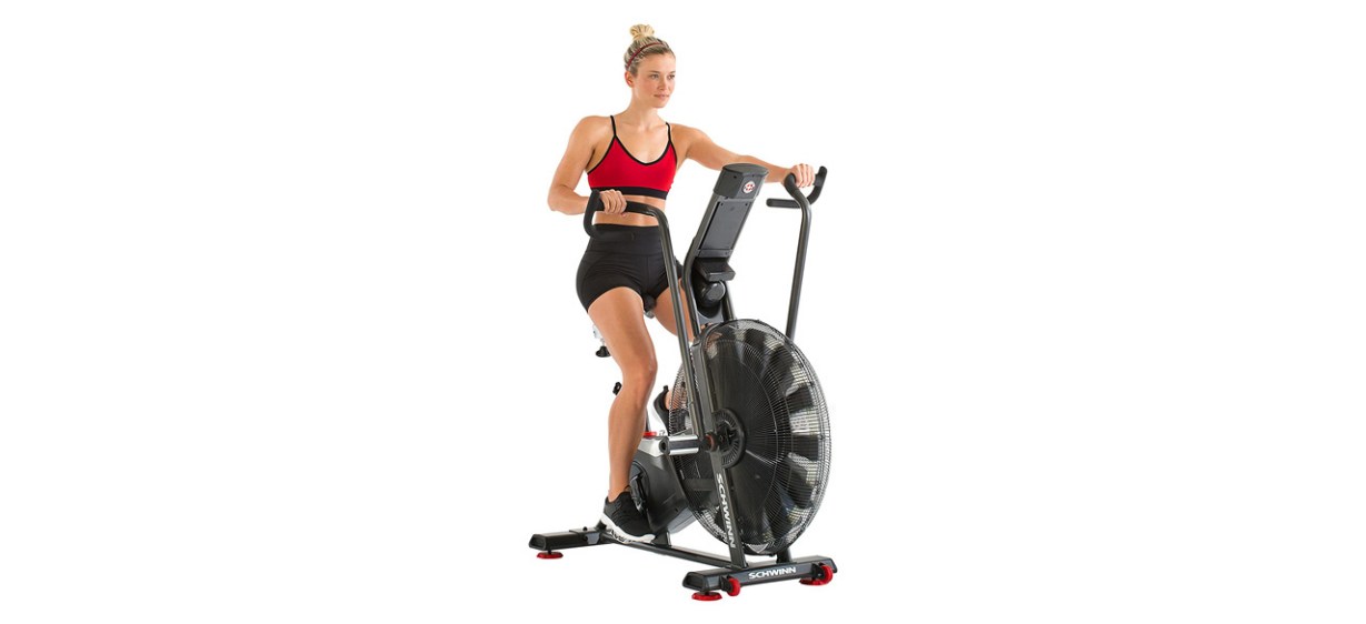 Schwinn AD78 AirDyne Fan Bike