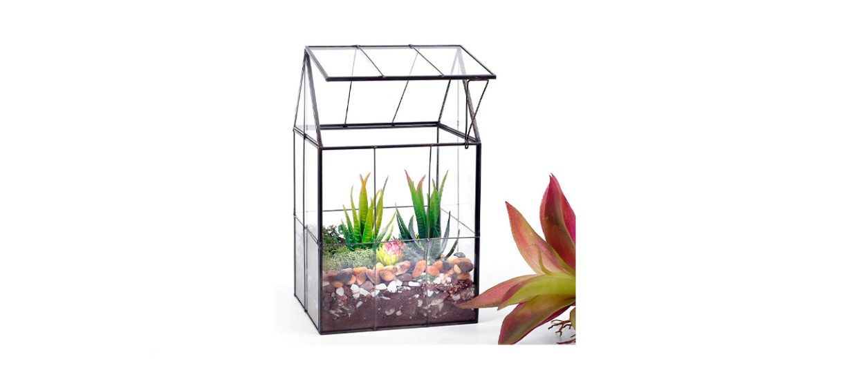 Ferrisland Glass Plant Terrarium Ferrisland Glass Plant Terrarium