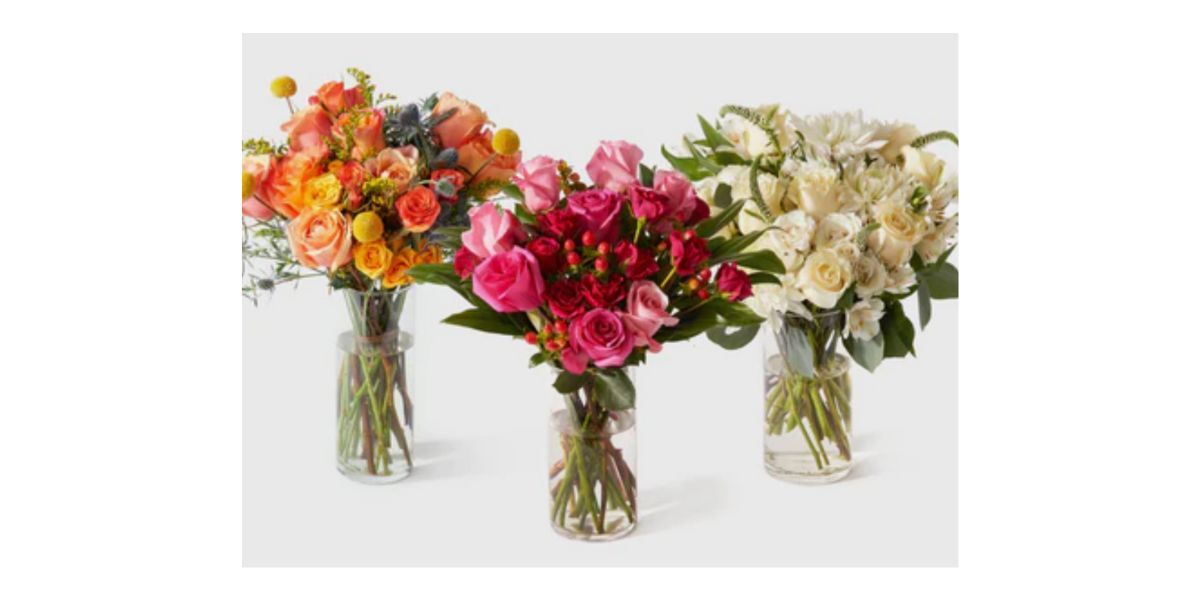 Urban Stems Flower Subscription