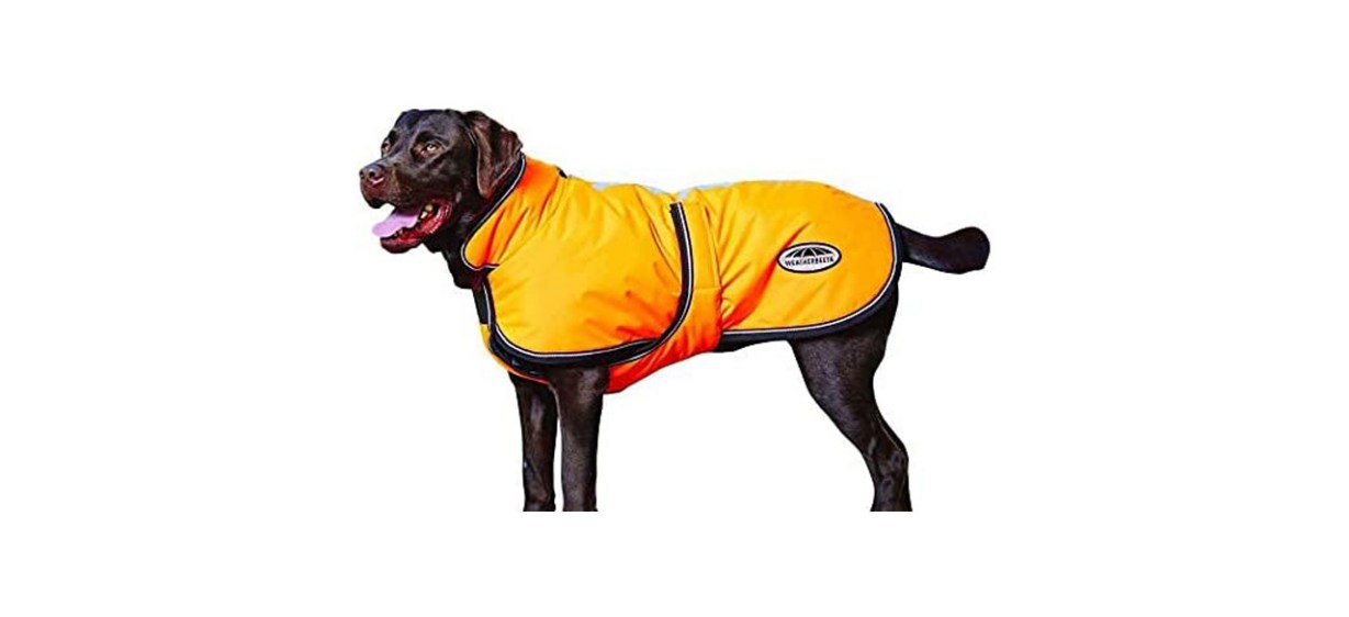 WeatherBeeta Comfitec Reflective Parka 300D Deluxe Dog Coat WeatherBeeta Comfitec Reflective Parka 300D Deluxe Dog Coat