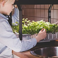 indoor garden kits
