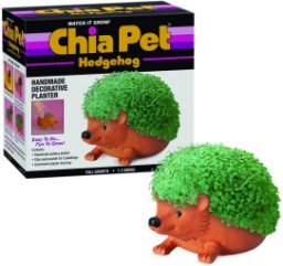 Chia Pet