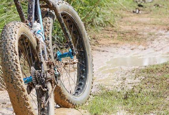 Best Men's Fat Tire Bikes