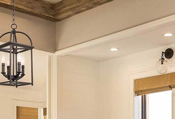 Best Cage Chandeliers