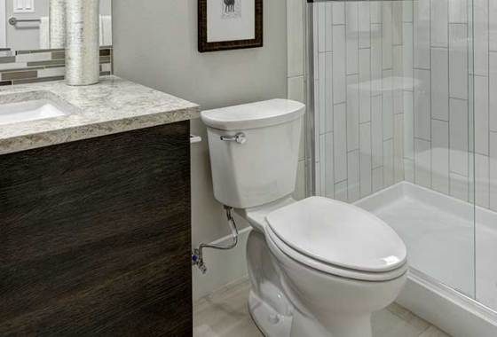 Best Kohler Toilets