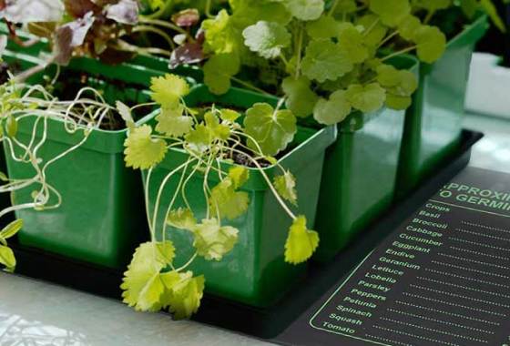 Best Plant Heating Mats