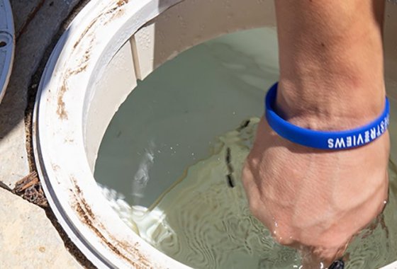 Best Pool Cartridge Filters
