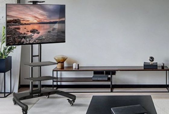 Best Mobile TV Carts