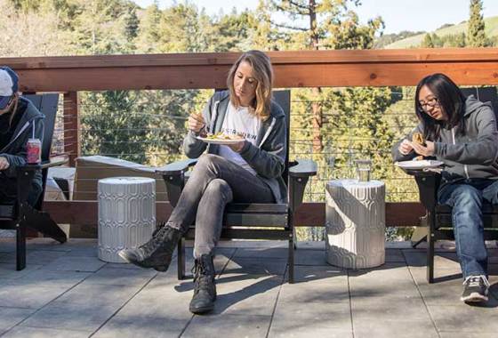 Best Outdoor Dining Chairs