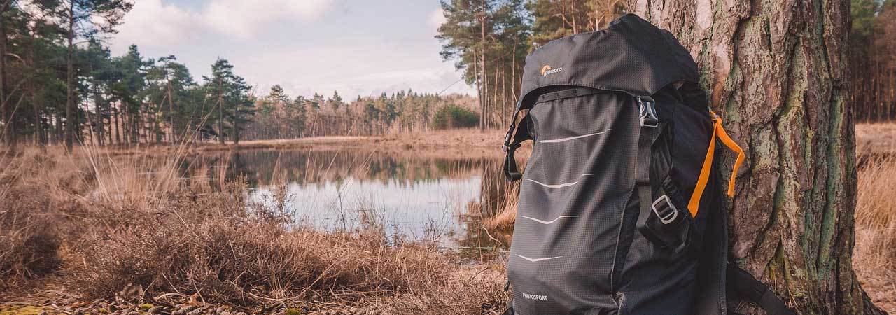 5 Best Ozark Trail Backpacks June 2020 BestReviews   3a033facada727128927ada0aa0e73c9 