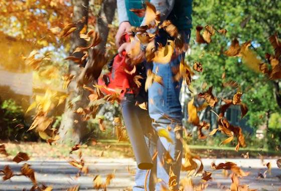 Best Toro Leaf Blowers