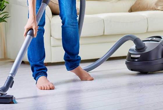 Best Dyson Canister Vacuums