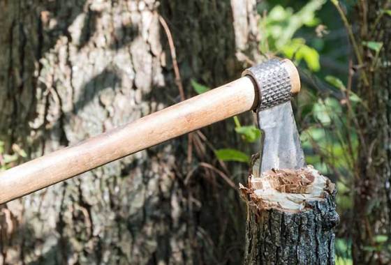 Best Throwing Axes
