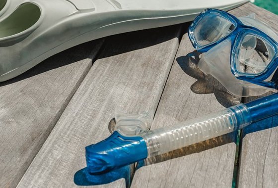 Best Diving Snorkels