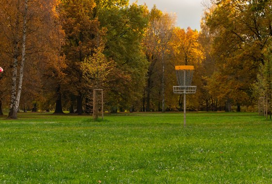 Best Disc Golf Drivers