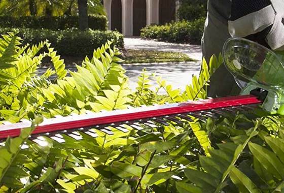 Best Greenworks Hedge Trimmers