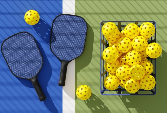 Best Pickleball Paddles