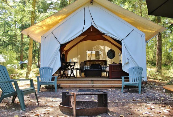 Everything you need to go glamping