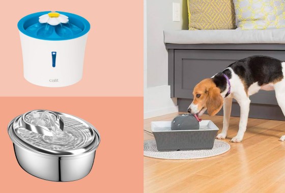 Pet water fountains are actually really good for your dogs and cats