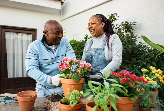 Gardening supplies are up to 30% off ahead of spring