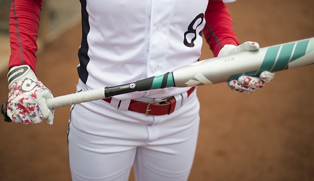 5 Best Softball Bats Aug. 2024 BestReviews
