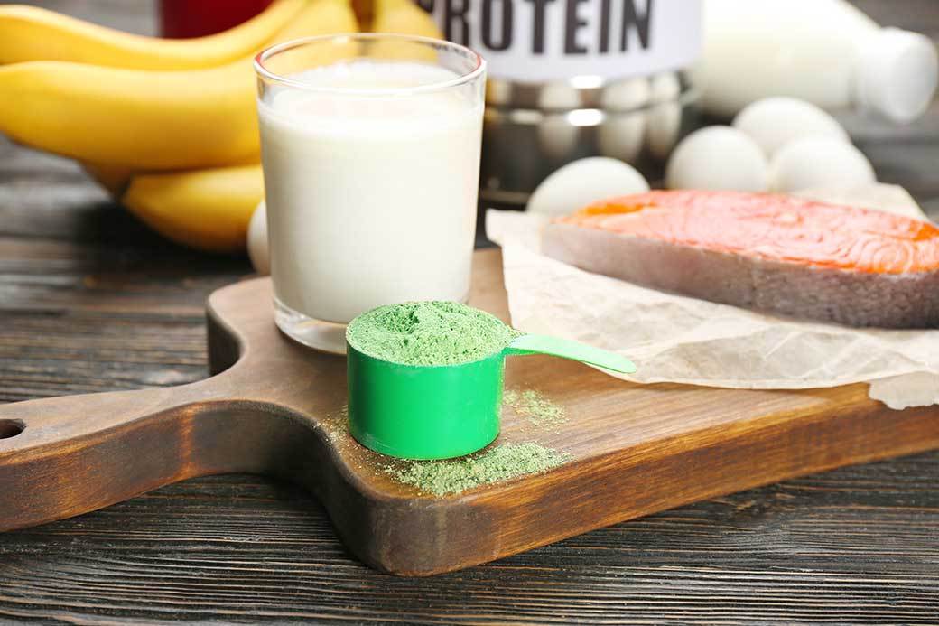 5 Best Hemp Protein Powders May 2021 BestReviews