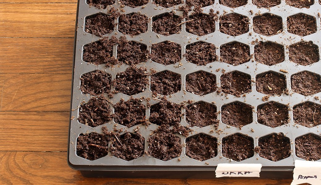 5 Best Seed Starter Kits Sept. 2021 BestReviews