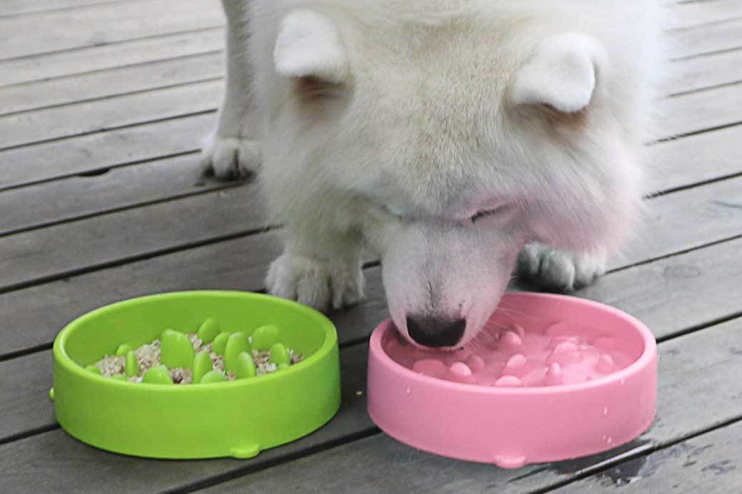 Content Image