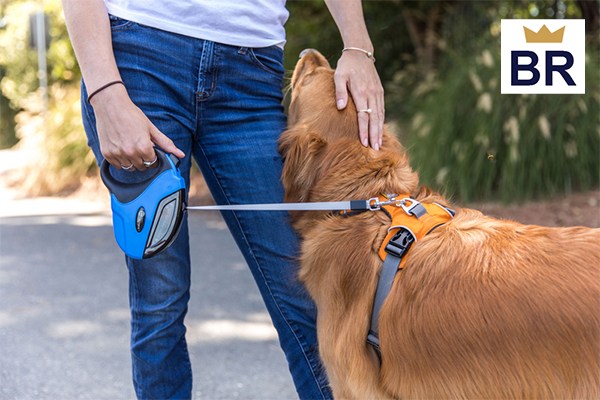 what is the longest retractable dog leash