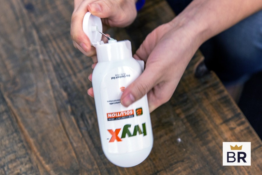 5 Best Poison Ivy Treatments June 2023 BestReviews