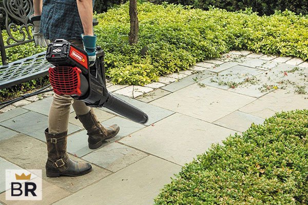 5 Best BLACK+DECKER Leaf Blowers - Jan. 2024 - BestReviews