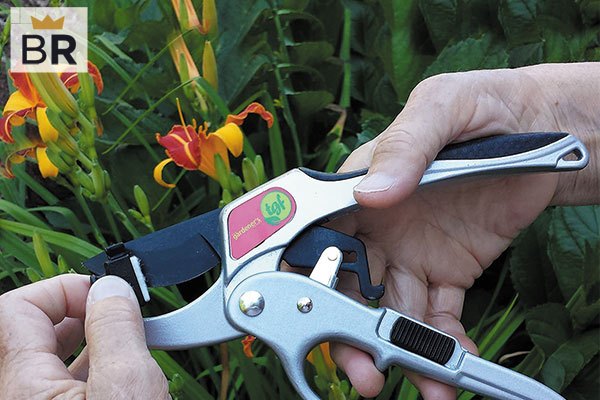 https://cdn14.bestreviews.com/images/v4desktop/image-full-page-600x400/07-large-pruning-shears-b6cf39.jpg?p=w900