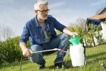 portable chemical sprayers