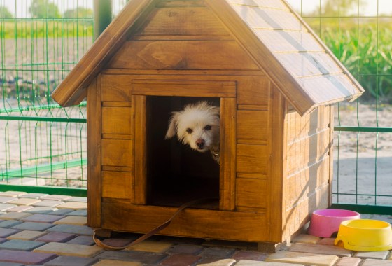 Which dog house is best for patios?