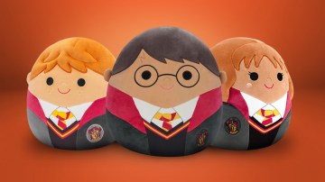https://cdn15.bestreviews.com/images/v4desktop/image-full-page-765x430/feature_expertshopper_1500x844_harrypotter.jpg