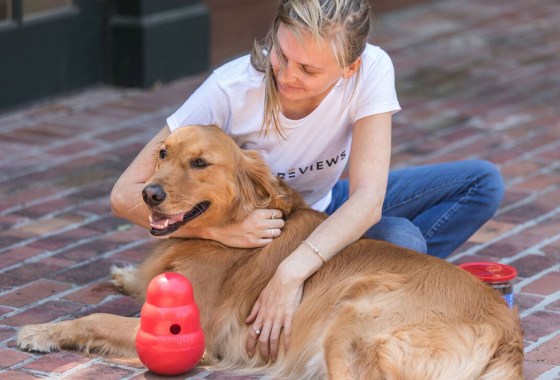Best Planet Dog toy