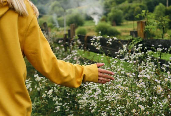 Best Spongebob hoodie