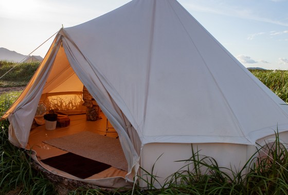 Best wall tents